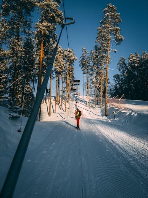 gün batımı, güneşli gün, kayak yapmak içeren Ücretsiz stok fotoğraf