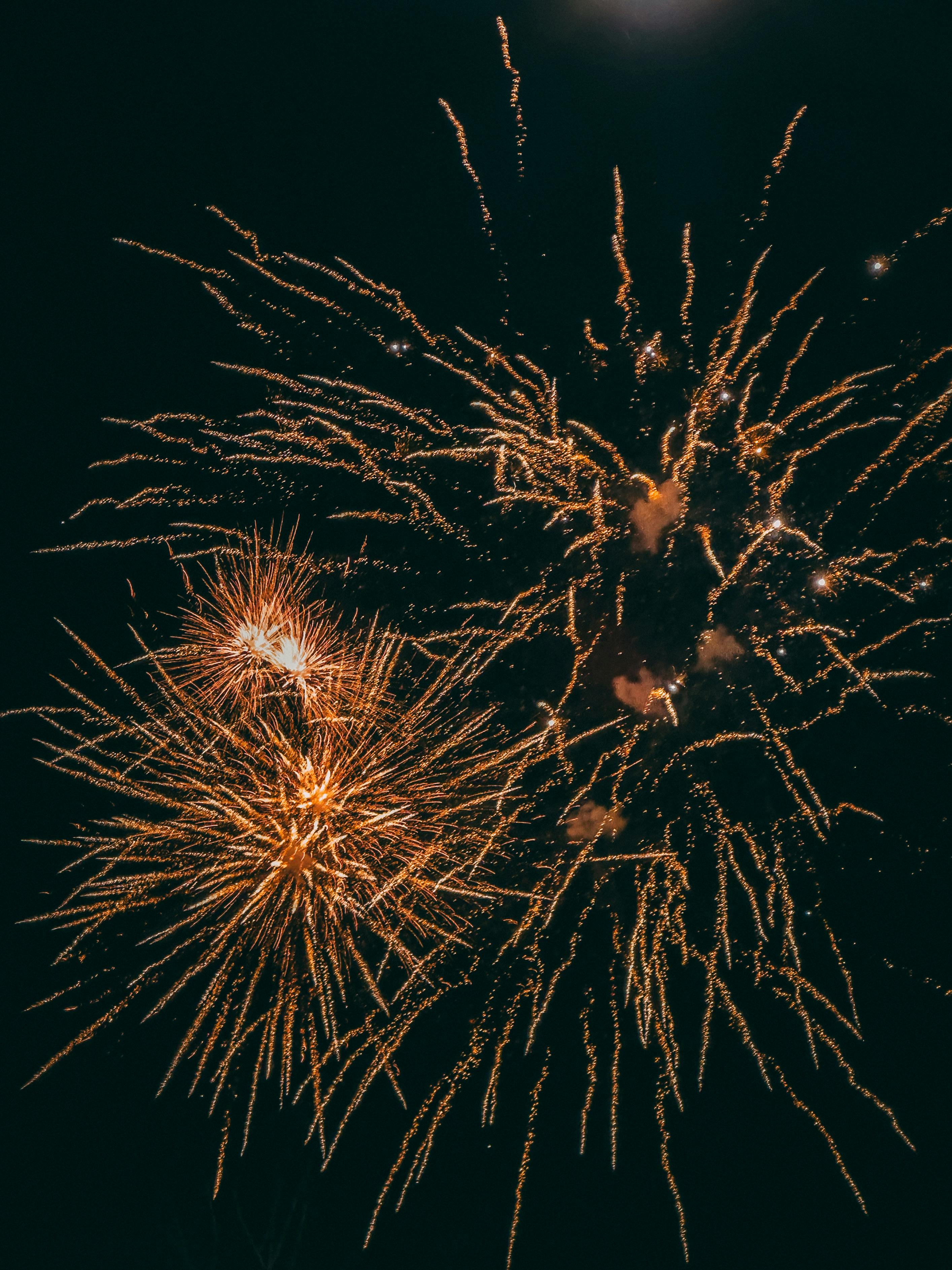 Vibrant fireworks illuminate the night sky in a stunning celebration scene.