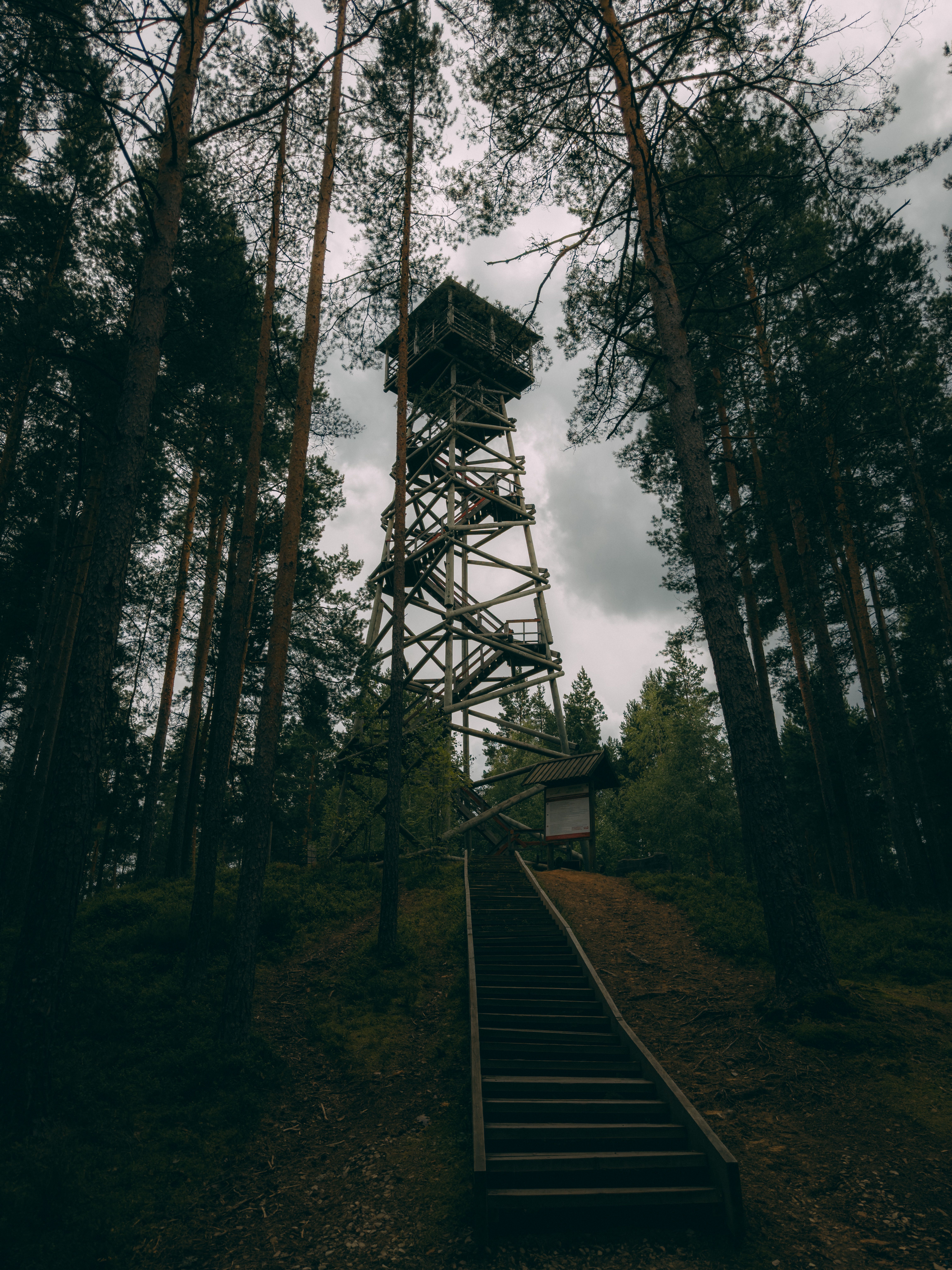 Ranger Tower Forest Photos, Download The BEST Free Ranger Tower Forest ...