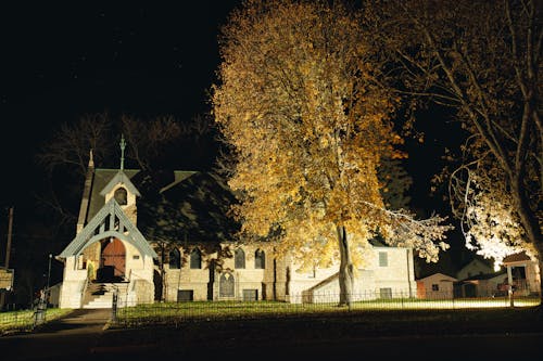 Foto profissional grátis de aparência, árvores, capela