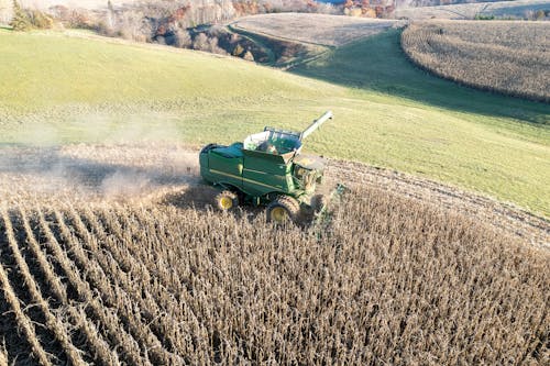 A combine harvester in a corn field