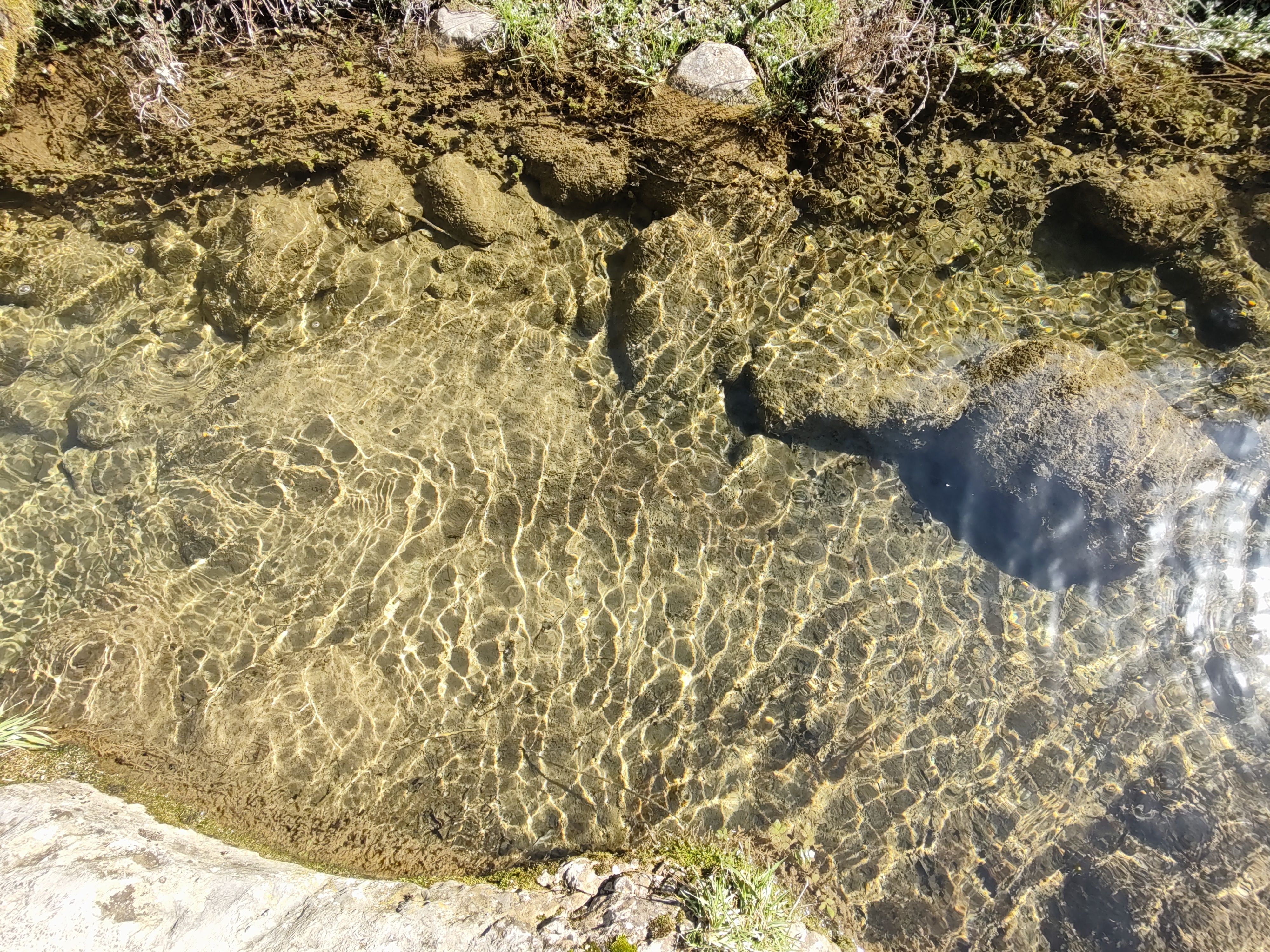 Rare bacteria in water traced to AI data center construction project — Photo by Tamara Rajkovic on Pexels