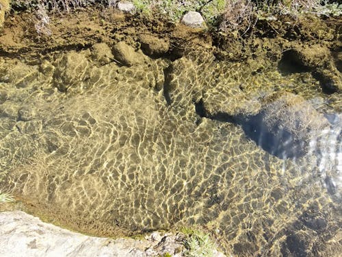 A stream with clear water and rocks