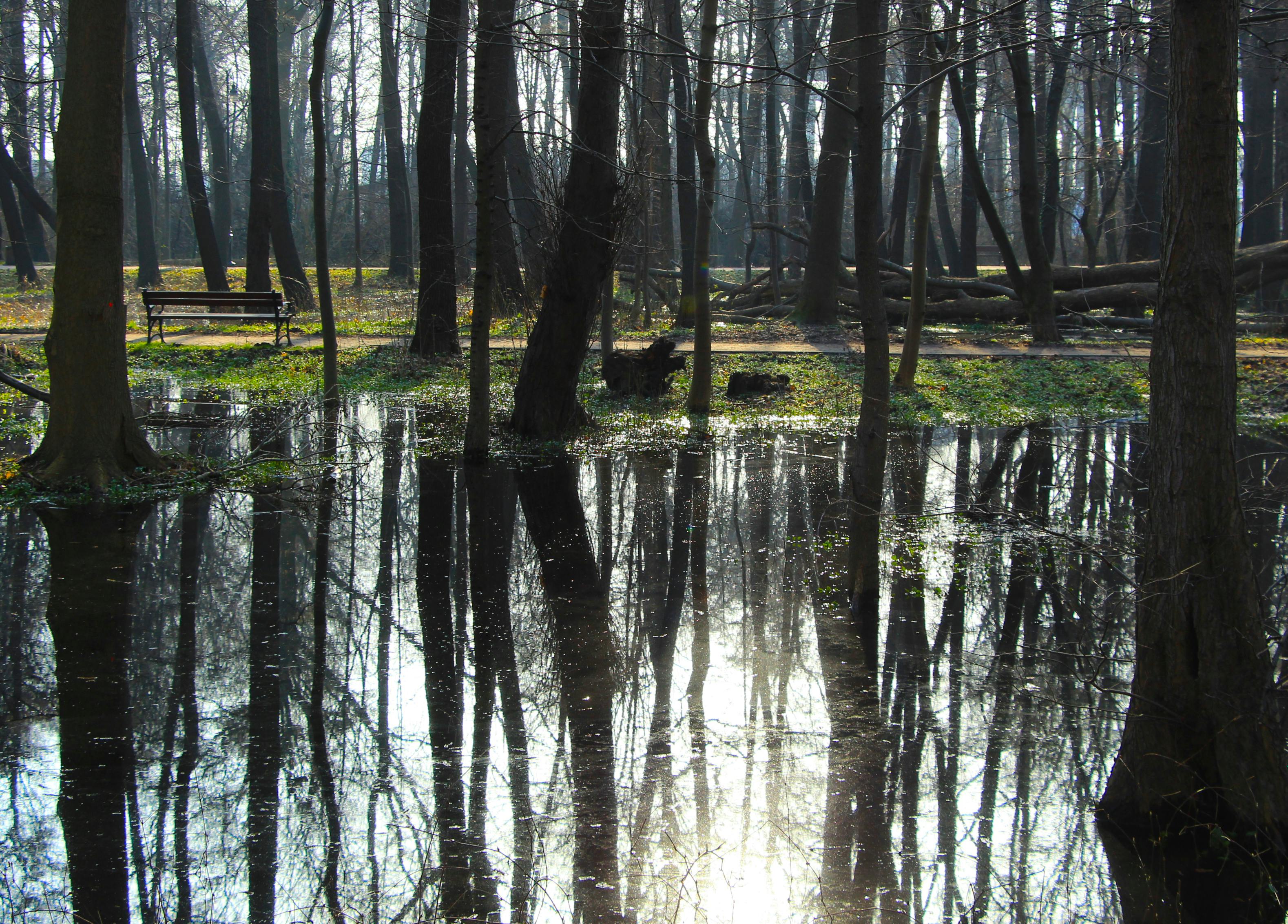 DuPage Forest Preserve executive director leaving for city manager job in Florida — Photo by Gosia K on Pexels