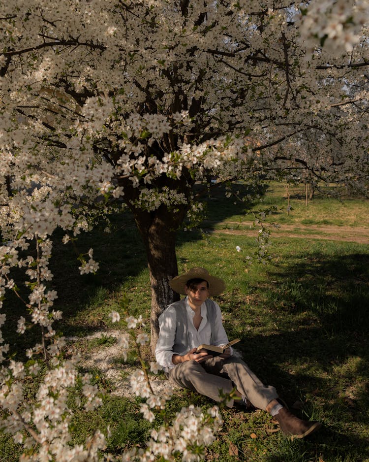 Man In Hat Sitting With Book Under Cherry Tree In Orchard In Spring