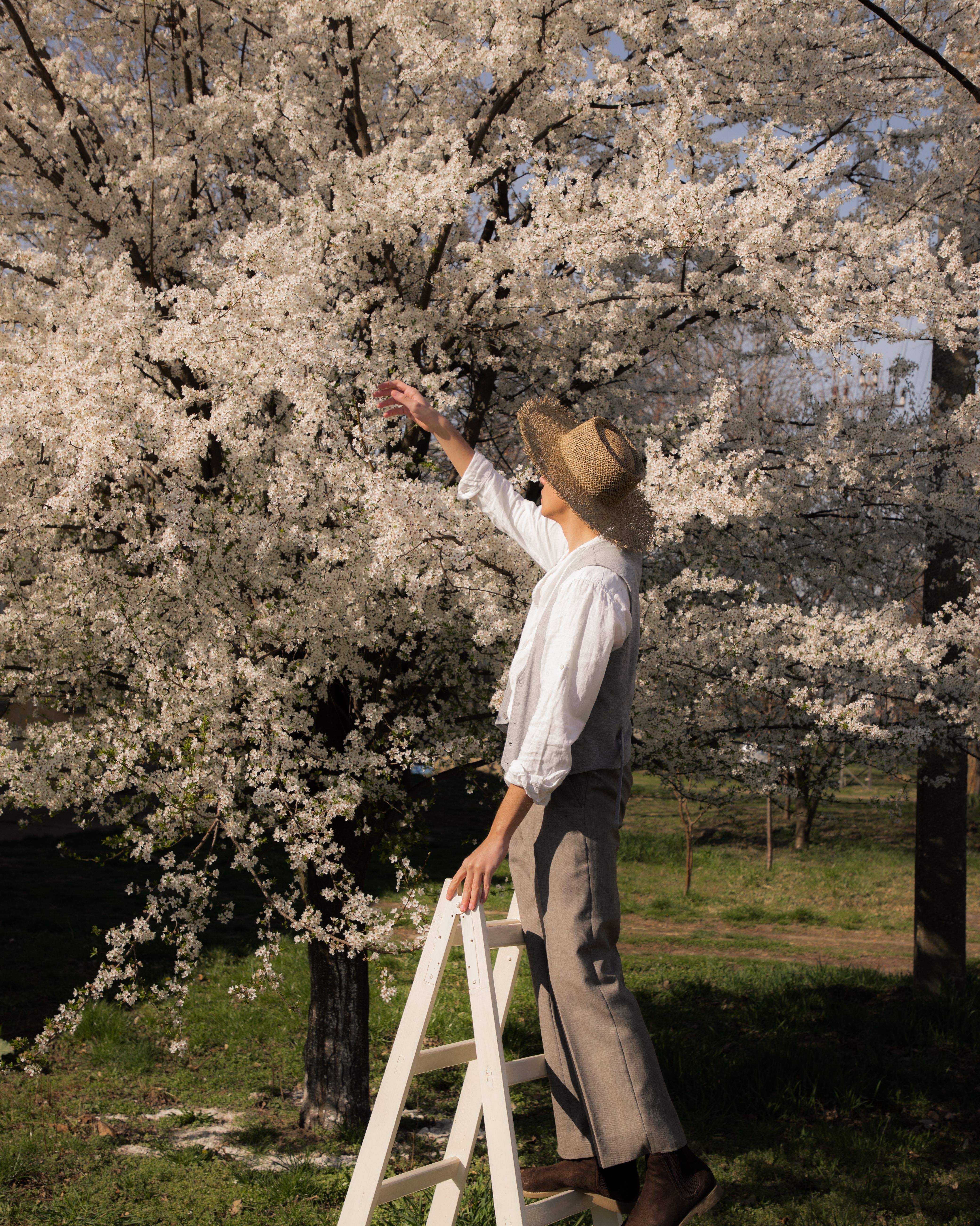 Man in Hat Standing by White Cherry Tree in Spring · Free Stock Photo
