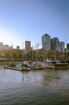 Captured at day, yachts moored at marina with Buenos Aires skyscrapers as backdrop, clear sky.