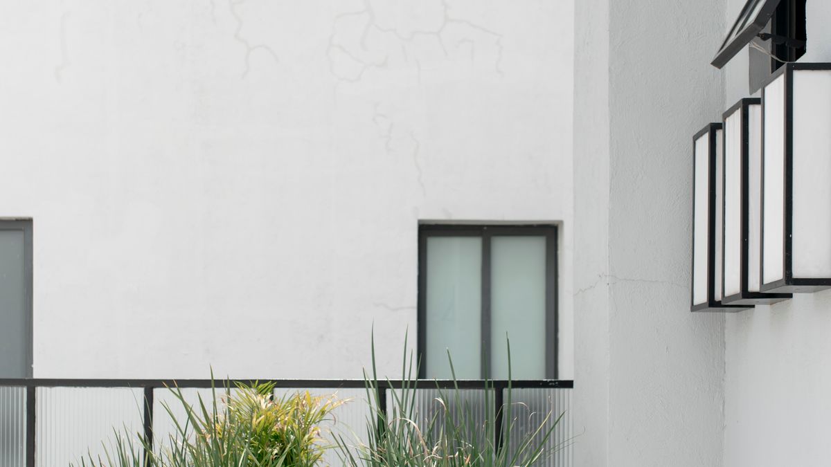 Jardin contemporain