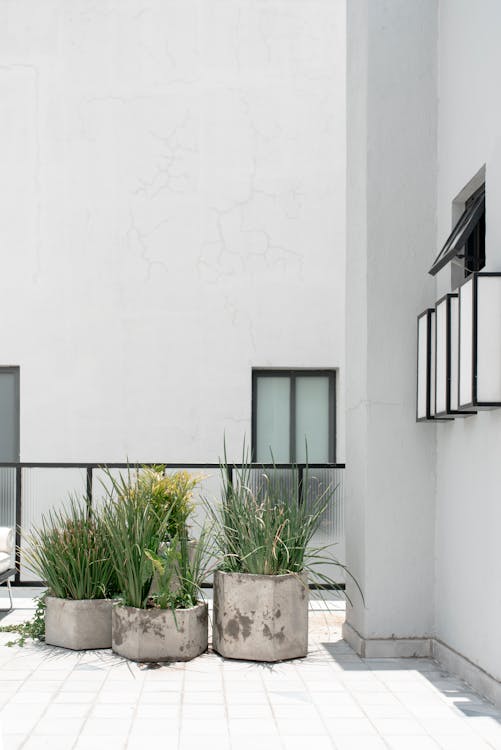 A patio with plants and pots on it