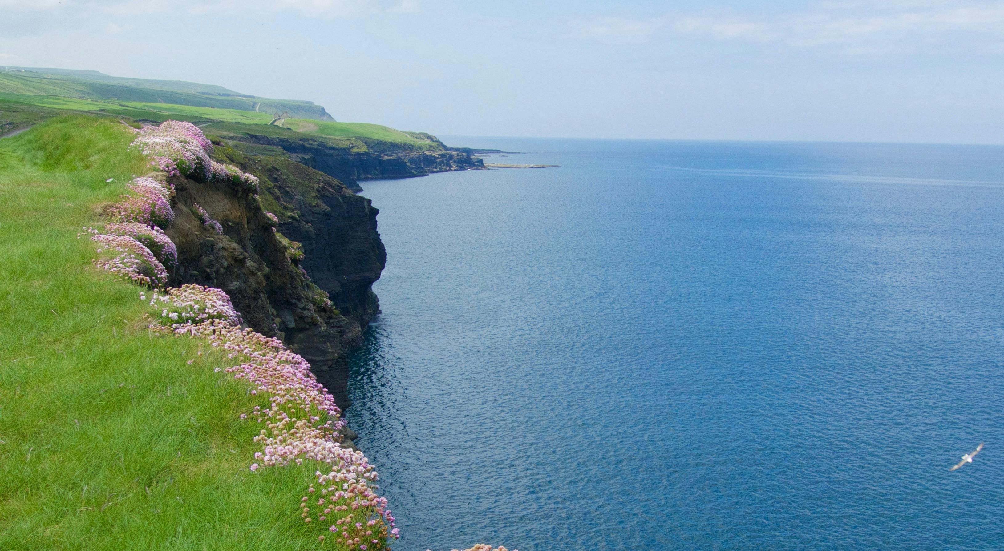 Free stock photo of cliffs, ireland, nature