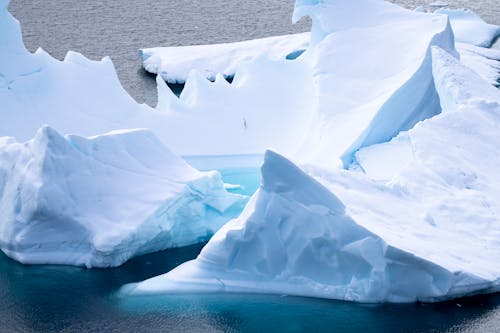 Základová fotografie zdarma na téma Antarktida, čistota, krajina