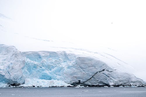 A large iceberg in the water with a bird flying over it