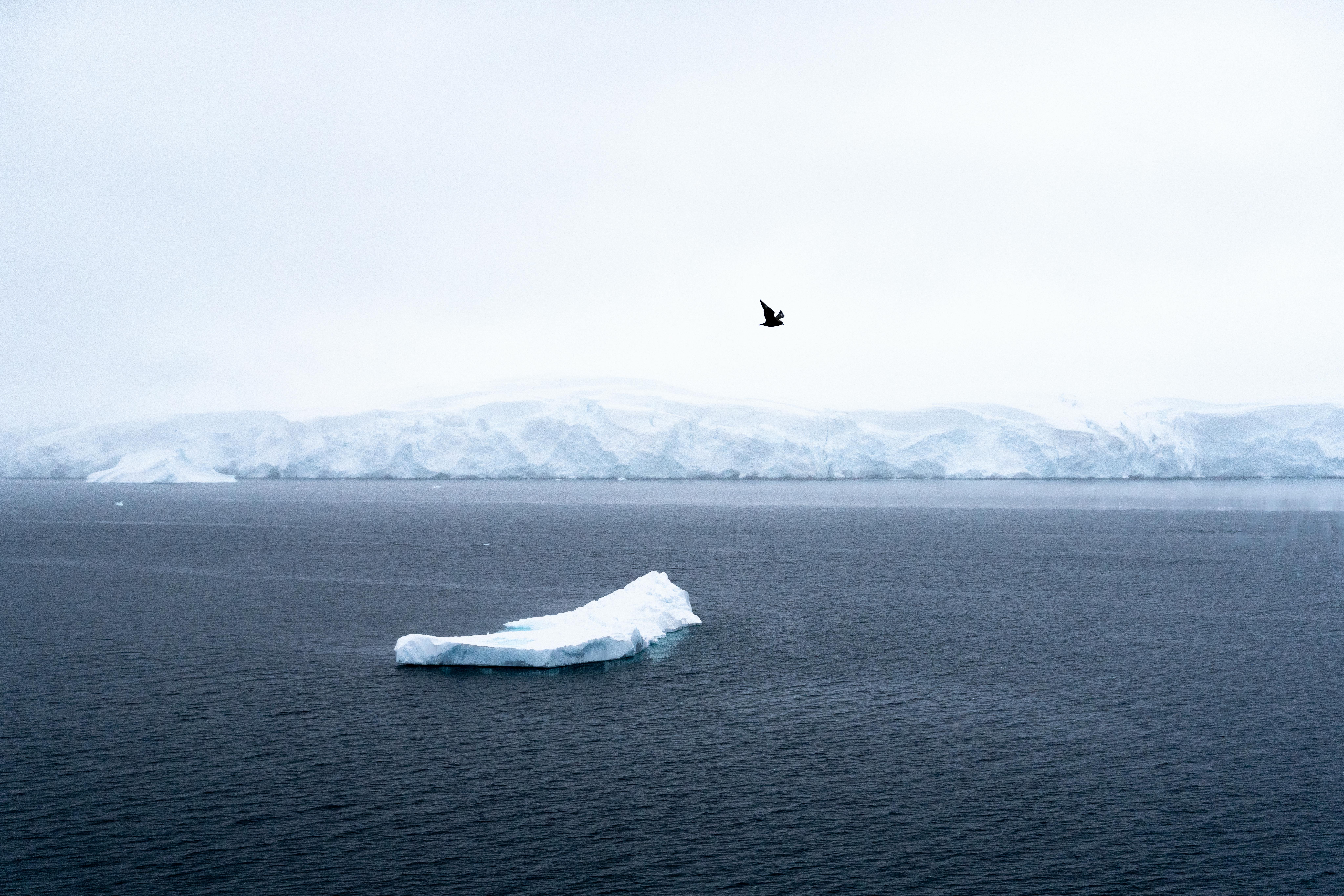 A More Troubling Picture of Sea Level Rise Is Coming into View — Photo by Hugo Sykes on Pexels