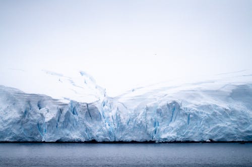 Photos gratuites de antarctique, eau, fondre