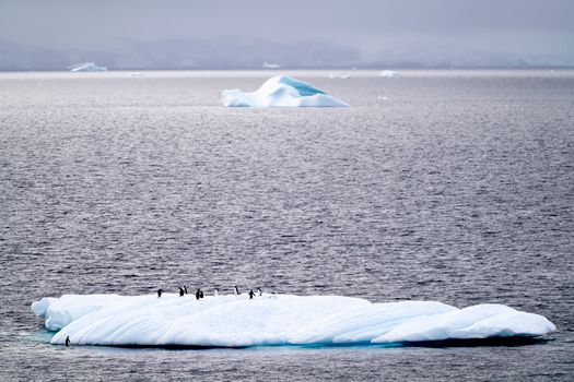 Kayaking among icebergs — Antarctica