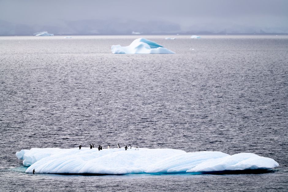 Antarctica travel