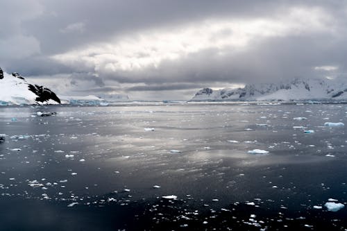 Gratis arkivbilde med antarktis, forkjølelse, is