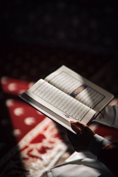 Free A woman reads the Quran under a stream of sunlight in a prayer room. Stock Photo