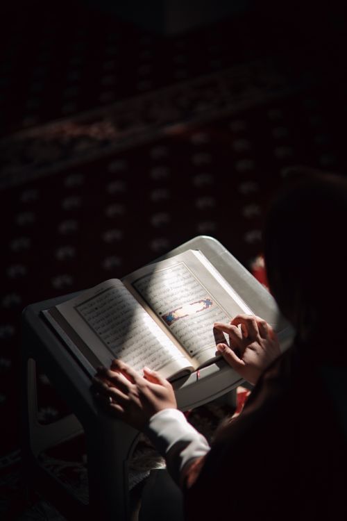 Free A woman prays and reads the Quran under sunlight in a peaceful setting. Stock Photo