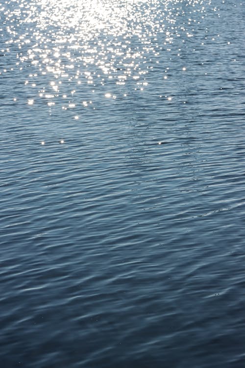 Sunlight Reflection in a Water 