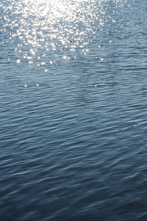 Fotos de stock gratuitas de agua, corriente, ligero