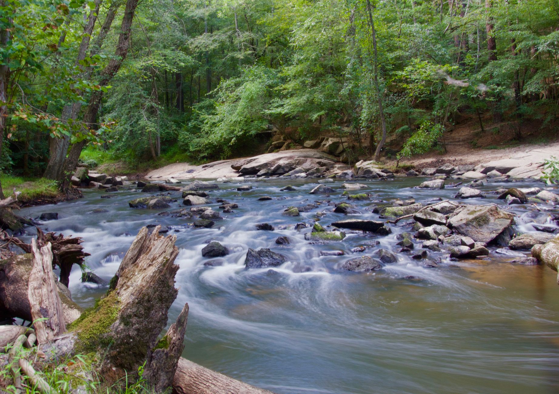 A tranquil creek flowing through a lush forest, showcasing natural beauty and serenity.