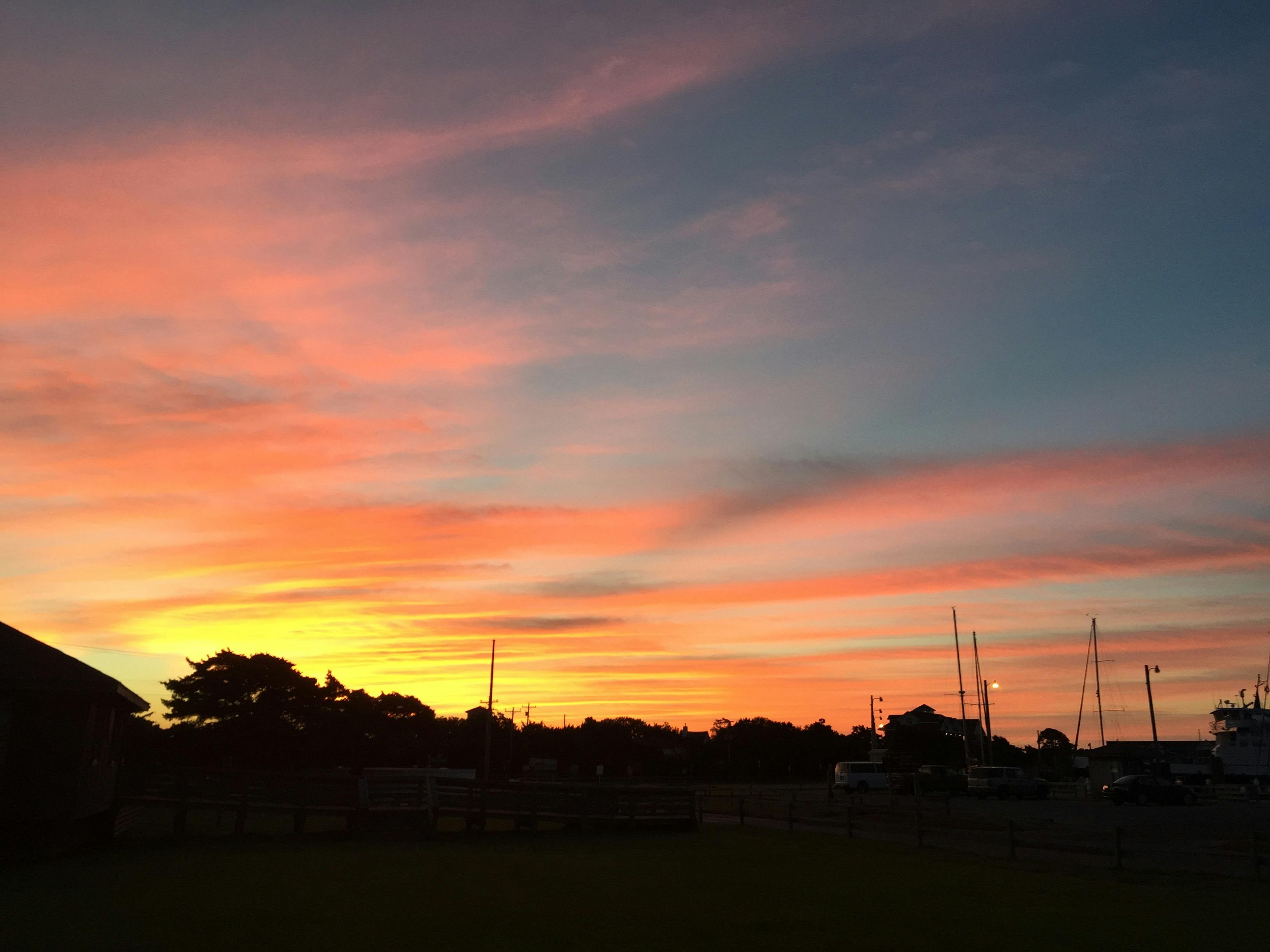 Free stock photo of nature, sunrise