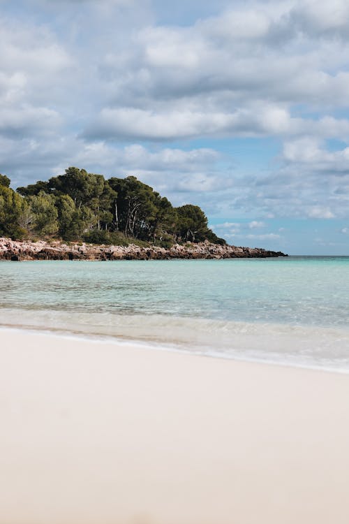 View of an Empty Beach and Green Trees on a Shore 