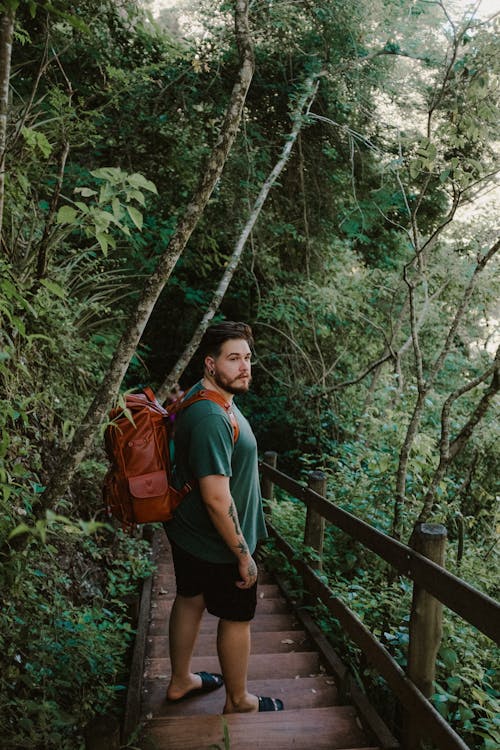 Fotos de stock gratuitas de adulto, al aire libre, árbol