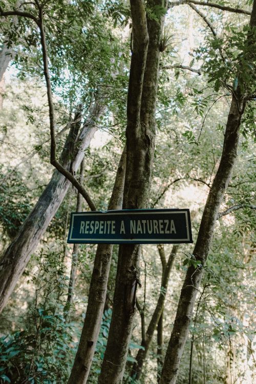 Free Wooden sign urging respect for nature amidst lush Itirapina forest greenery. Stock Photo