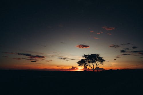 剪影, 孤獨, 日落 的 免費圖庫相片