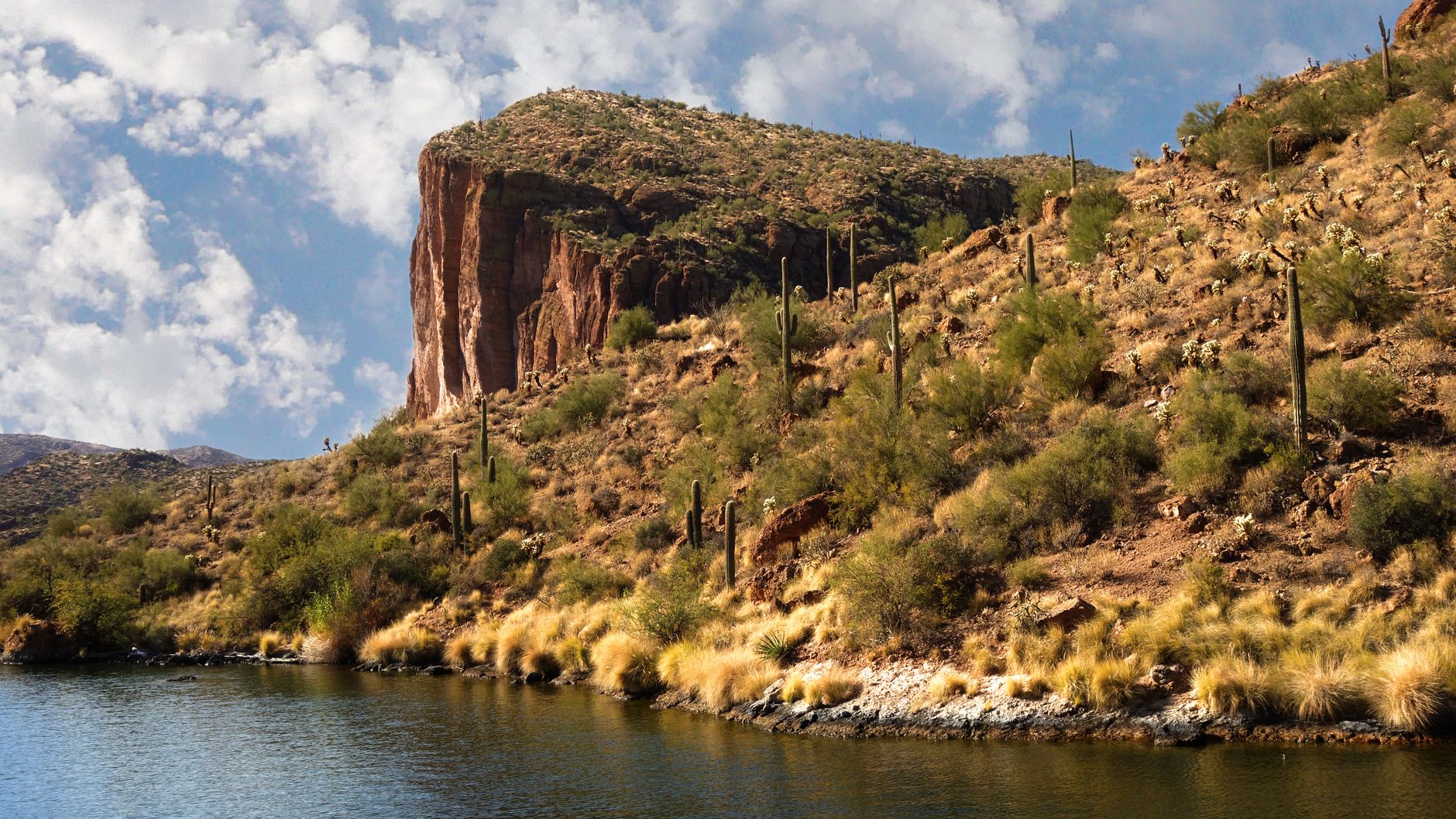 Majestic Arizona desert landscape with cacti and rocky hills by a calm lake under a vibrant sky.