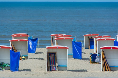 A beach with a lot of beach chairs and umbrellas