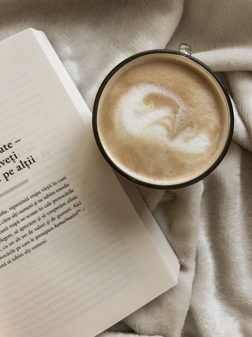 Free A warm and inviting scene with a cup of cappuccino and an open book, perfect for leisure reading. Stock Photo