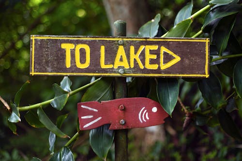 This way to the lake!