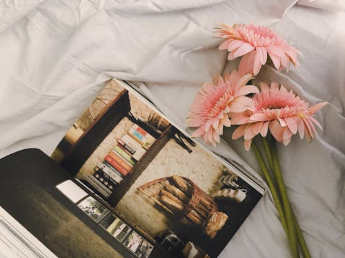Pink Flowers and Page of Magazine