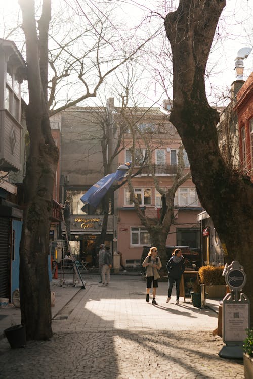 A street with trees and people walking down it