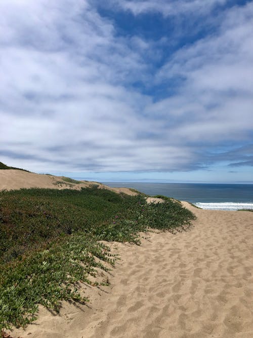 Spiaggia Di Los Osos