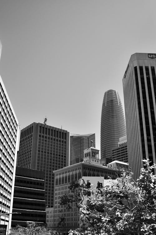 サンフランシスコ, シティ, セールスフォースタワーの無料の写真素材