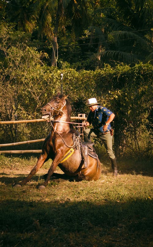 Elderly Cowboy Mounting Horse