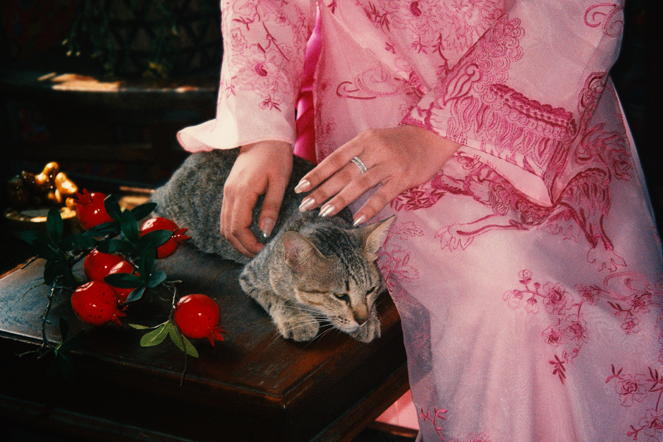 A woman in a pink dress gently pets a cat indoors, surrounded by red decorative fruits.