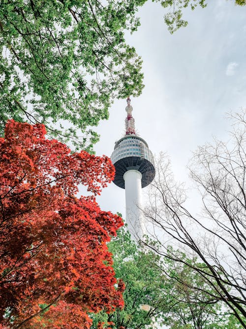 Foto stok gratis bidikan sudut sempit, gedung menara, Korea Selatan