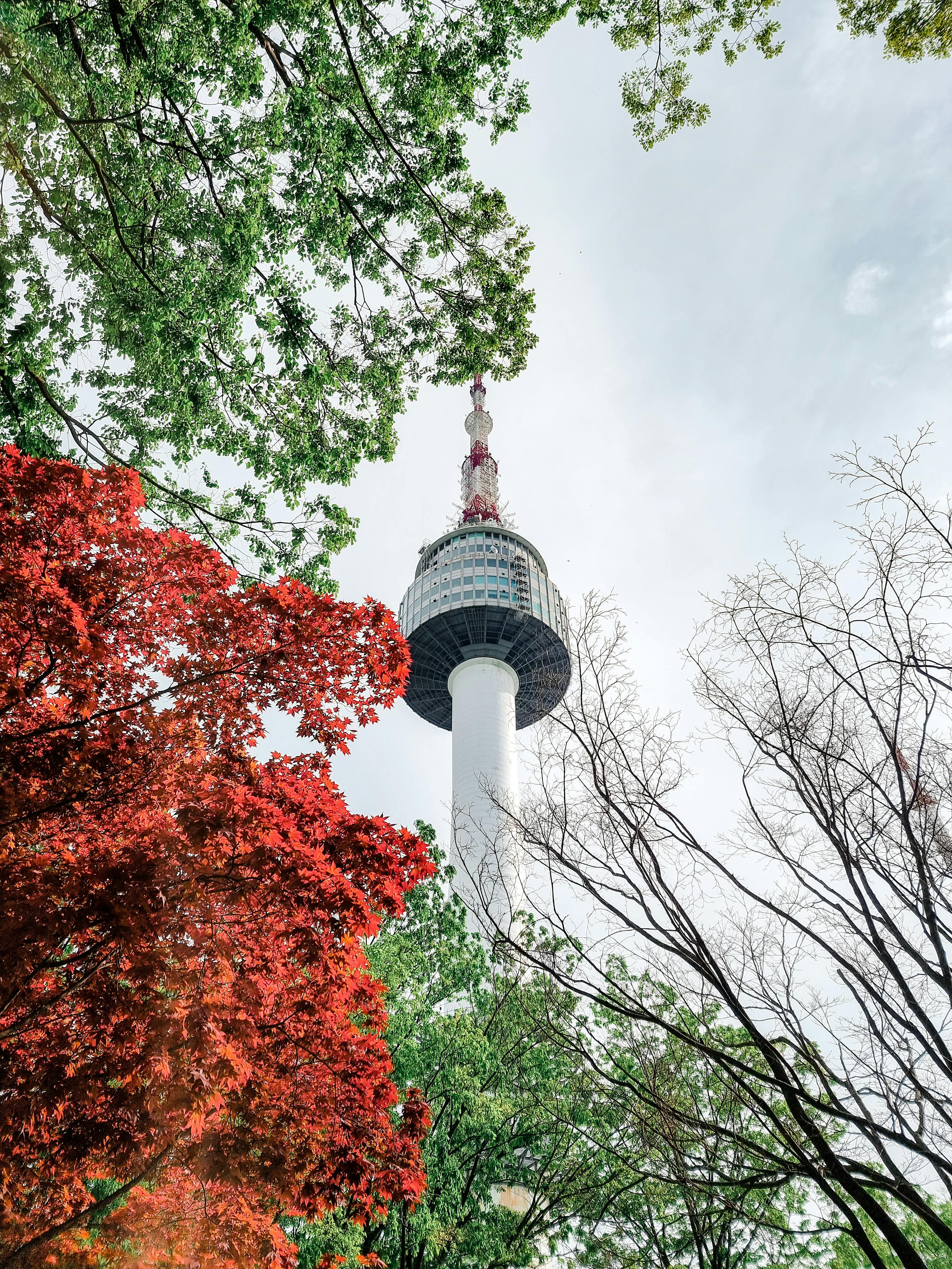 view of n seoul tower with trees