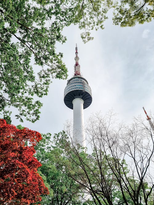 Seoul Observation Tower between Trees in Seoul in South Korea