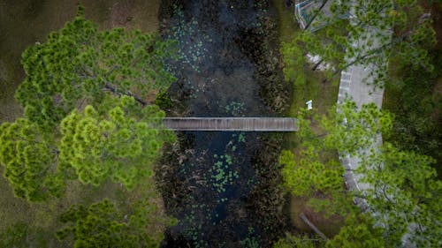 An aerial view of a bridge over a pond