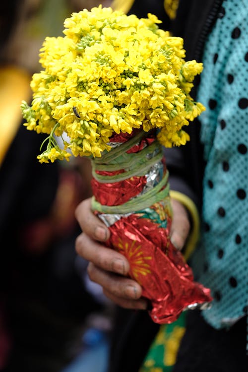 Foto profissional grátis de amarelo, flores, foco seletivo