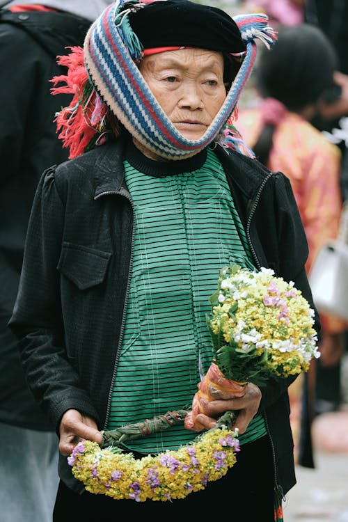 Fotos de stock gratuitas de asiática, de cerca, flores