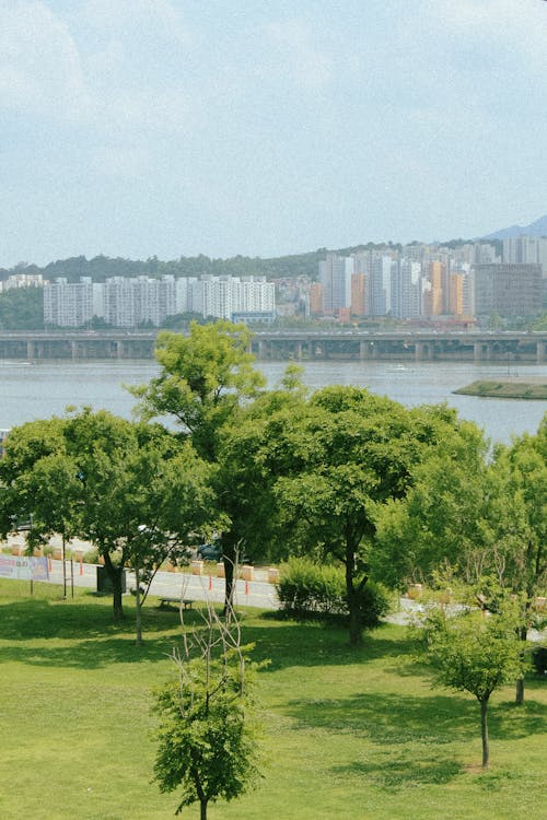 Immagine gratuita di Corea del Sud, natura, paesaggio urbano