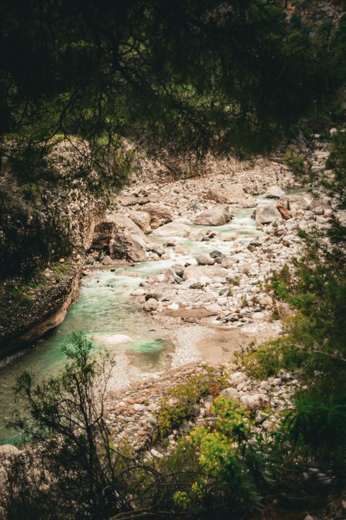 Free Peaceful forest river view with boulders and lush greenery. Stock Photo