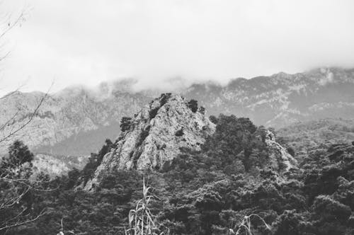 Black and white photo of mountains and trees